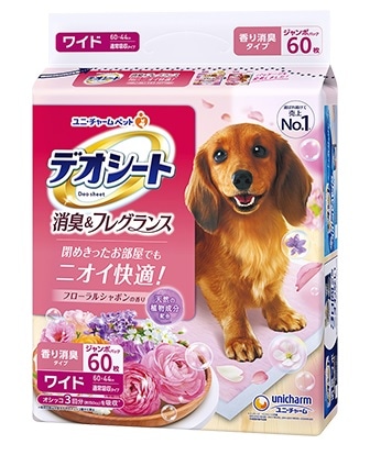 fIV[g@LtOX@t[V{̍@Ch@UO