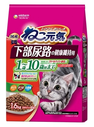 ˂C@AȞNێp@P`PO΍܂Ł@܂EEg@PDU