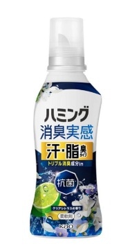 �n�~���O���L�����@���E���L�^�C�v�@�N���A�V�g���X�̍���@�{�́@�T�O�O��