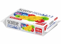 XRbeB@NhD@gĈ|V[g@߂p@QO