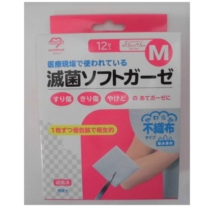 AWXg@ŋۃ\tgK[[@sDz^Cv@l@PQ