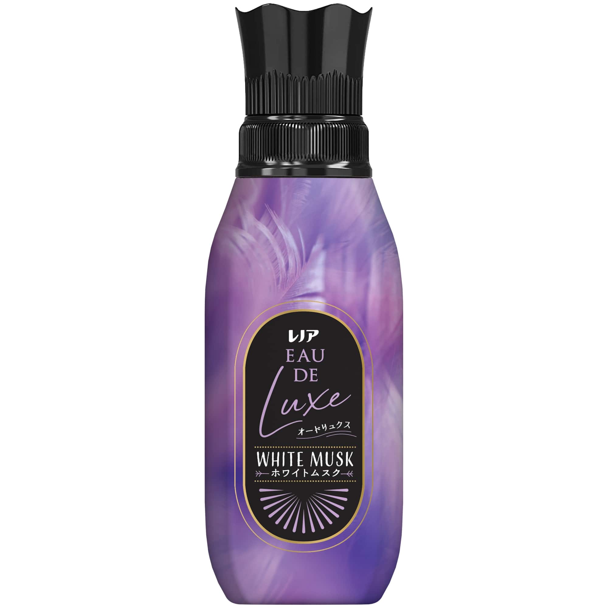 mAI[hNX@zCgXN̍@{́@SVT